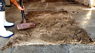 Unbelievable cleaning of the dried mud on the mig mig carpet|ASMR