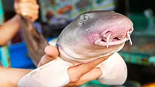 Vietnam Street Food - BAMBOO SHARK Vietnamese Seafood Hotpot