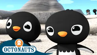 @Octonauts - Home of the Adelie Penguins 🐧 | Series 2 | Full Episode 1 | Cartoons for Kids