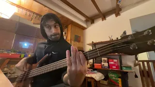 Earth Wind and Fire / The Beatles - Got to get you into my life (bass cover)