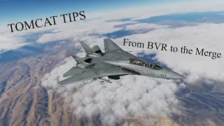 Shiny's DCS Tomcat Tips: From BVR to the Merge