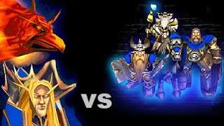 Annoying Orange Bird, BLM vs AM MK Pala | Warcraft 3 Reforged Classic gfx