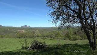 9 Hours Crickets Sounds and Birds - Sleep or Relax - Real Nature Hz