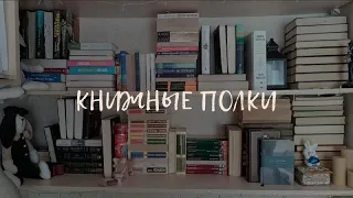 МОИ КНИЖНЫЕ ПОЛКИ | 250+ книг📚 | МОЯ КОЛЛЕКЦИЯ КНИГ