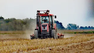 🔥Talerzowanie po kukurydzy 2020🔥GR Szczepański🔥Zetor Proxima 100🔥