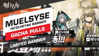 Pulling for Muelsyse and Ho'olheyak Limited Banner | Arknights CN