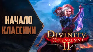 РЫЖАЯ ПЛЕННИЦА Divinity: Original Sin 2 - Прохождение #1