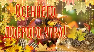 Осеннего доброго утра! 🍁 Счастливой осени! Красивое пожелание доброго утра!