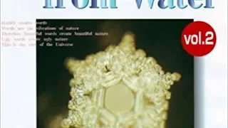 Proof of the Mind Body Connection! Messages from the Water with Dr. Masaru Emoto
