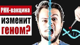 РНК-вакцина может изменить геном человека?