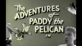 Paddy the Pelican - Vealshorts