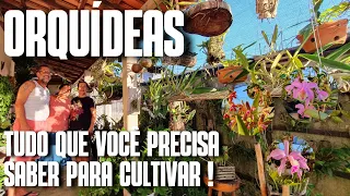 TOUR ORQUIDART: ORQUÍDEAS ESPÉCIES |COLECIONADOR | ORQUÍDEA NATIVA | COMO CULTIVAR ORQUÍDEAS | DICAS