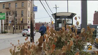 Northside Common Ministries Unhappy With Bus Stop Being Moved