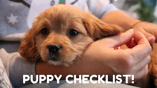 EVERYTHING I BOUGHT FOR MY 8 WEEK CAVAPOO PUPPY | How to Get Ready For Your New Puppy