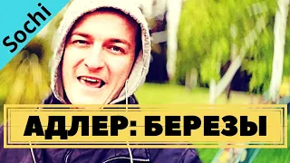 В АДЛЕРЕ ЕСТЬ БЕРЕЗЫ (видео для аллергиков)