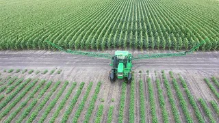 Spraying Cotton