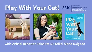 Play With Your Cat with Dr. Mikel Maria Delgado