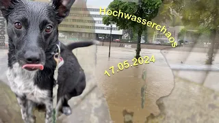 Hochwasser in Saarbrücken @bibonaut