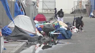 Homeless crisis: 30% of U.S.'s unhoused in California