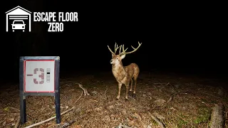 Escape Floor Zero - A Dark Forest and a Chained Door - Newest Update - Game Coming Soon!