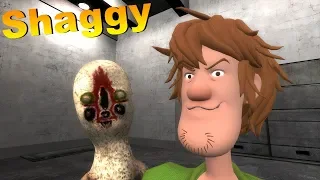 Scp-173 vs Shaggy