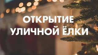 Открытие ёлки с. Бархатово | Новый год 2021