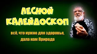 Сборник коротких сюжетов о лекарственных растениях Горного Алтая с рецептами их применения.