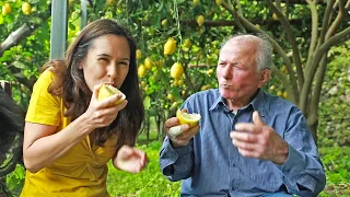 LEMON | How Does it Grow? ITALY SPECIAL: sweet Amalfi lemons