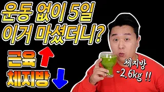 운동 없이 5일 다이어트로 해독주스 마셨는데 대박!! 근육량 올리고 체지방 빼는 다이어트 추천합니다👍 (ft.오토파지 다이어트)