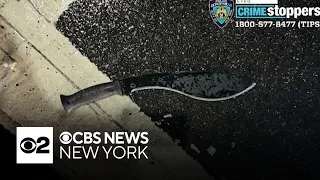 Times Square NYPD machete attacker sentenced