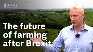 How Brexit could redefine UK farming and protect its damaged ecology