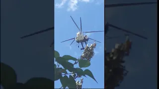 Kamov Ka-26 flying over my house