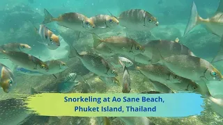 Magic World - snorkeling at Ao Sane Beach Phuket Island Thailand
