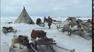 Последние кочевники Арктики 1 серия