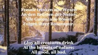 Ode an die Freude - Song Of Joy (with German lyrics & English translation)