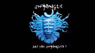 Shpongle - Divine Moments Of Truth (HQ)