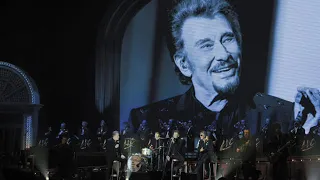 Johnny Hallyday & Les vieilles canailles - Couleur menthe à l'eau (+ Paroles) (yanjerdu26)