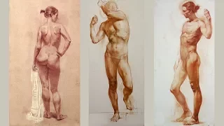 Muscles of the Body - Anatomy Master Class
