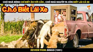 Chó Nhà Mình Chỉ Biết Ăn Với Cắn - Chó Nhà Người Ta Còn Biết Lái Cả Xe | Review Phim Bingo 1991