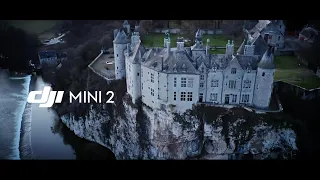 Castle Walzin In Dinant - DJI Mini 2 Cinematic