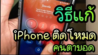 แก้ iphone ติดโหมดคนตาบอด voice over , talk back