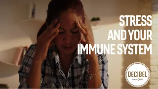 How Stress Affects Your Immune System