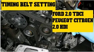 timing belt ford  peugeot citroen 2.0 tdci  2.0 hdi #instruction #torquesetting #timingbelt #cambelt