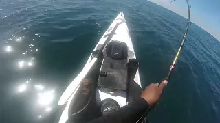 CATCH AND RELEASE OFF UMHLANGA ( kayak fishing durban )