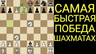 В ЭТУ ЛОВУШКУ ПОПАДУТСЯ 98% ИГРОКОВ. САМАЯ СИЛЬНАЯ ШАХМАТНАЯ ЛОВУШКА. Шахматы Ловушки. Шахматы