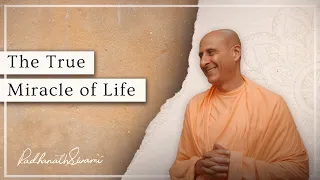 The True Miracle In Life  | Radhanath Swami At The House Of Commons