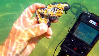 BIG Gold Find Underwater Metal Detecting in Sydney Harbour