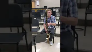 Some Contra Alto Bass Clarinet Fun