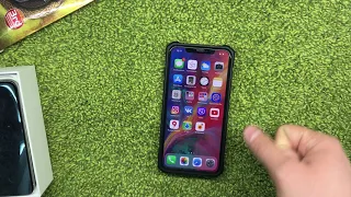 iPhone XS max спустя месяц - можно обойтись и обычным X