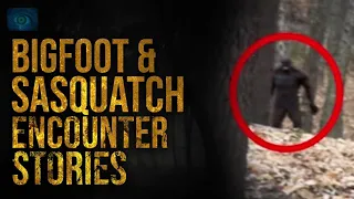 SCREAMS OF BEASTS AND UNKNOWN BEINGS - TRUE SCARY BIGFOOT AND SASQUATCH SIGHTINGS